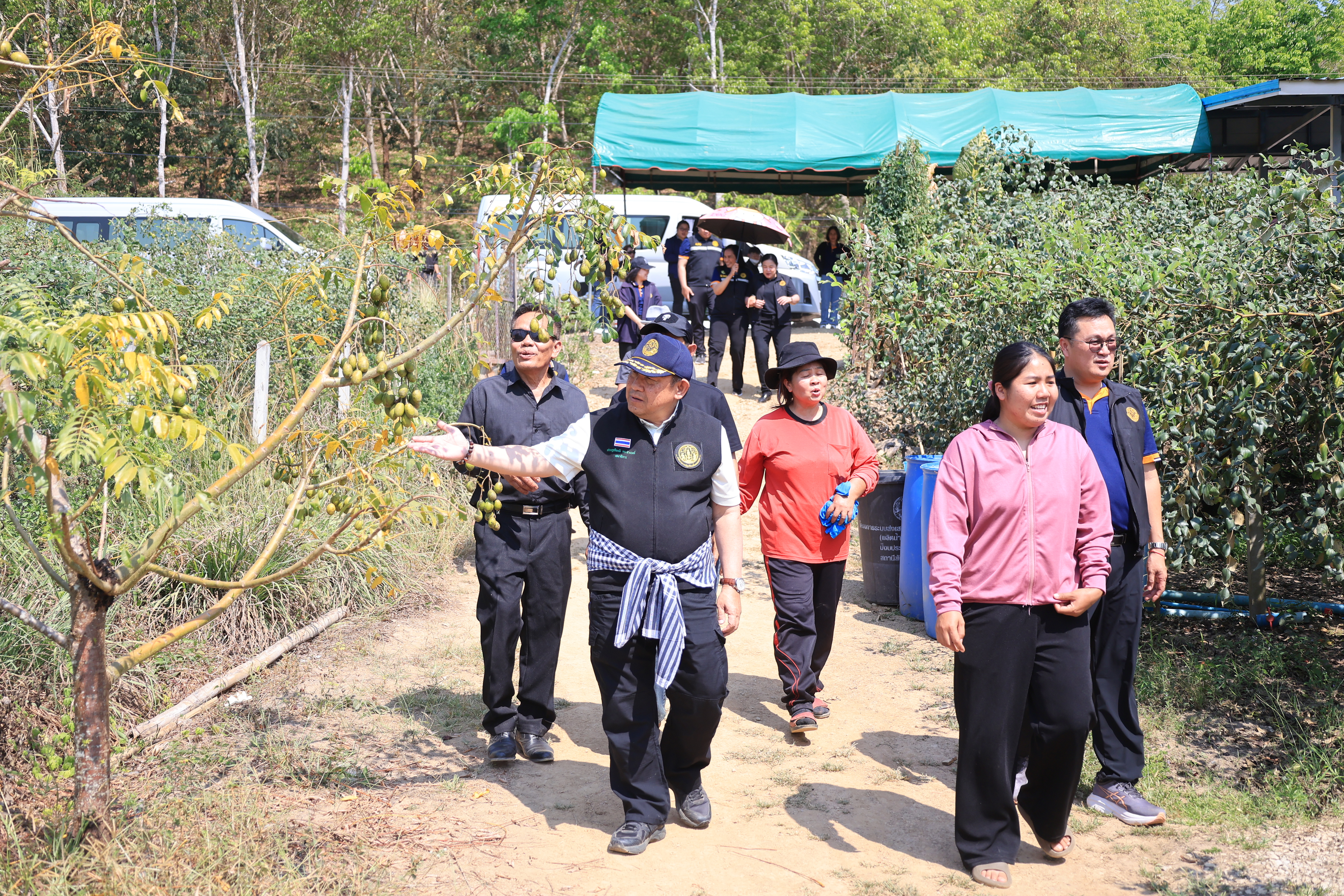 title - เลขาธิการ ส.ป.ก. และคณะ ตรวจเยี่ยมกลุ่มปลูกพุทรา บ้านท่าดีหมี หมู่ที่ 4 ต.ปากตม อ.เชียงคาน จ.เลย